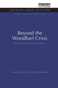 Kirjan kansi "Beyond the Woodfuel Crisis"