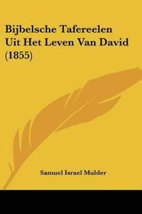 Bijbelsche Tafereelen Uit Het Leven Van David (1855)