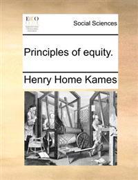 Principles of equity.