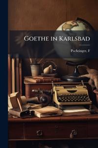 Goethe in Karlsbad