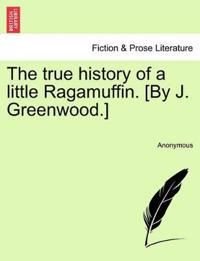 The True History of a Little Ragamuffin. [By J. Greenwood.]