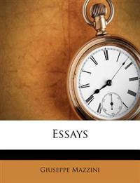 Essays