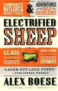 Electrified Sheep