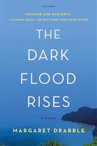 Dark Flood Rises