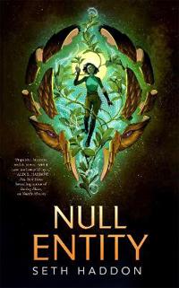 Null Entity