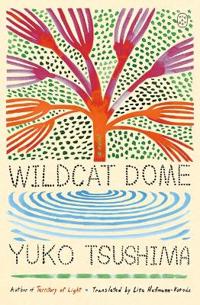 Kirjan kansi "Wildcat Dome"