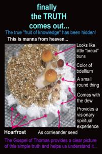 Finally the Truth Comes Out...: The True &quote;Fruit of Knowledge&quote; Has Been Hidden!: This Is Manna from Heaven...