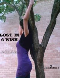 Lost In a Wish