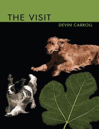 Visit