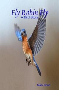 Fly Robin Fly