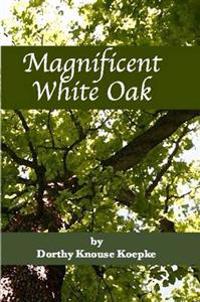 Magnificent White Oak