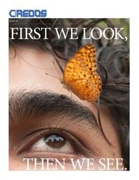 First We Look, Then We See Issue 1