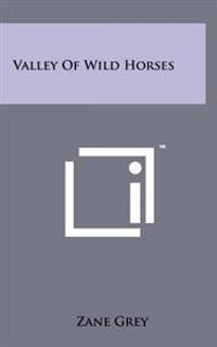 Valley of Wild Horses