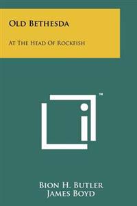 Old Bethesda: At the Head of Rockfish