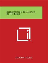 Introduction to Analysis in the Large