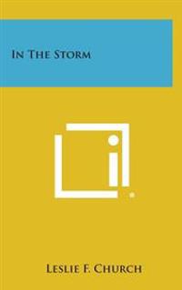 Bokomslag for "In the Storm"