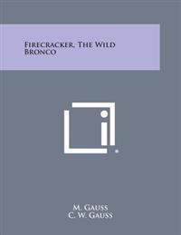 Firecracker, the Wild Bronco