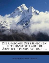 Die Anatomie Des Menschen
