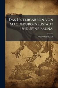 Das Untercarbon von Magdeburg-Neustadt und seine Fauna.