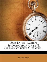 Zur Lateinischen Sprachgeschichte