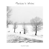 Mantova in winter