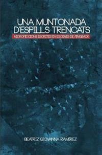 Una Muntonada D'espills Trencats