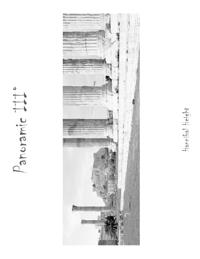 Panoramic III°