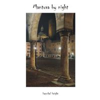 Mantova by night