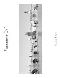 Panoramic IV°