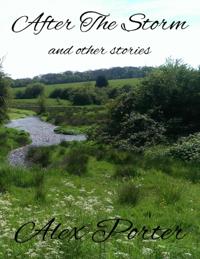 After the Storm and Other Stories