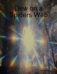 Dew on a Spiders Web