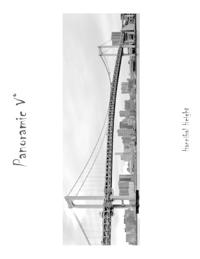 Panoramic V°