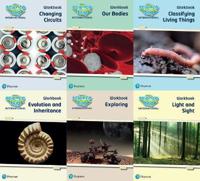 Science Bug International Year 6 Workbook Pack