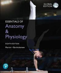 Essentials of AnatomyPhysiology, Global Edition