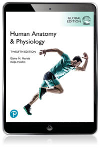 Human Anatomy & Physiology, Global Edition