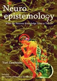 Neuroepistemology