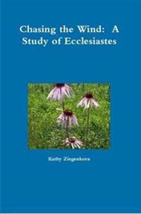 Chasing the Wind: A Study of Ecclesiastes