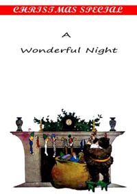 Wonderful Night