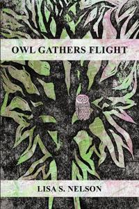 Owl Gathers Flight