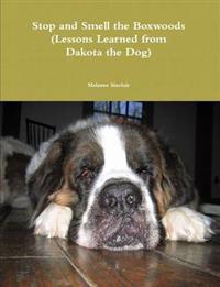 Stop and Smell the Boxwoods (Lessons Learned from Dakota the Dog)