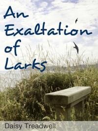 Exaltation of Larks