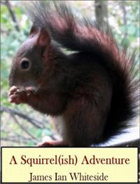 Squirrel (ish) Adventure