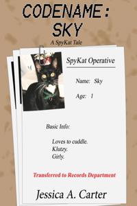 Codename: Sky