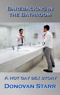 Barebacking in the Bathroom: A Hot Gay Sex Story
