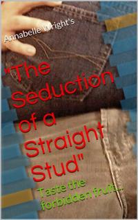 Seduction of a Straight Stud