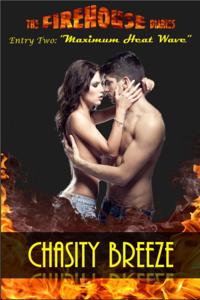 Firehouse Diaries: Entry Two - Maximum Heat Wave