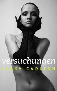 Versuchungen (erotische Geschichten - Sonderedition)