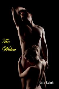 Widow (The Professor #3)