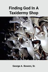 Finding God In A Taxidermy Shop