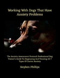 Working With Dogs That Have Anxiety Problems